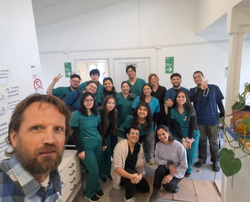 vacunacion5